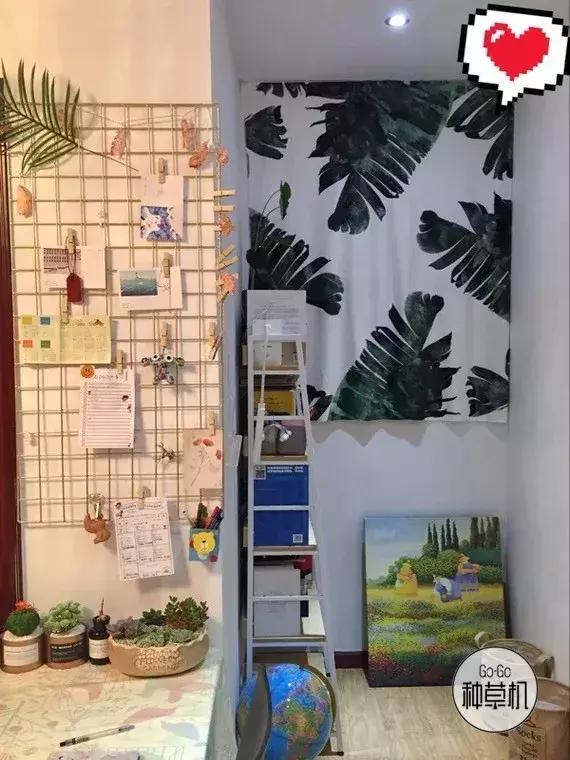 月入三千在上海怎么活,上海月入一万还能活吗