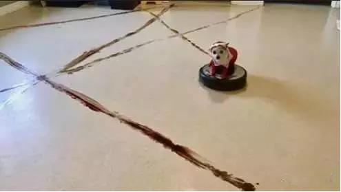 养狗别用扫地机器人,养狗狗用扫地机器人吗