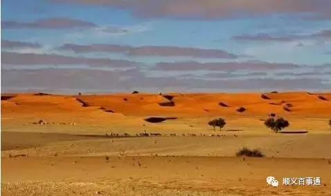 值得去免签落地签国家,对中国免签落地签旅游国家