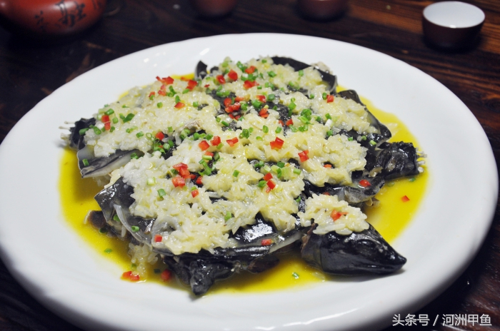 甲鱼菜品介绍术语,甲鱼菜品语言介绍