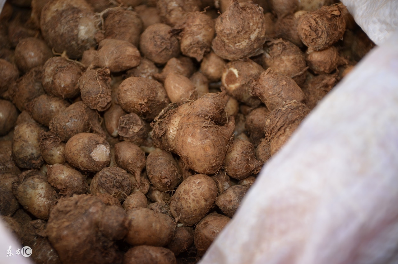 中医药方——应对入秋咽喉炎