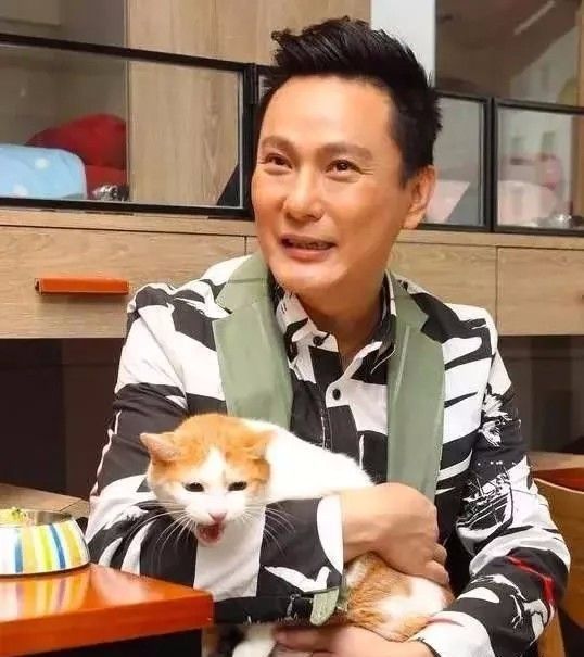 张信哲救猫,张信哲救人歌曲