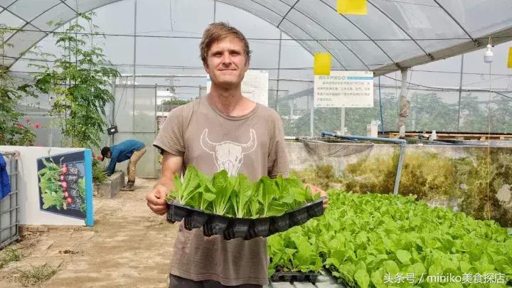 成都周边农场推荐,成都周边最有特色的农场