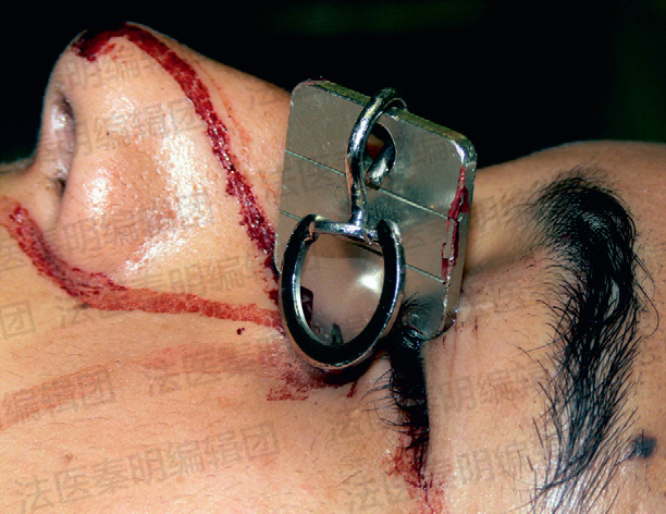 我们真的不想在假期开始前来一期重口味更新的