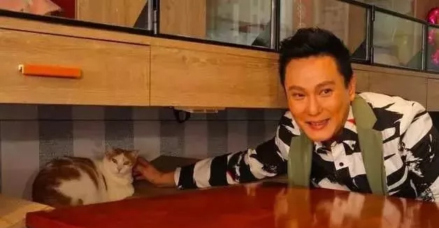 张信哲救猫,张信哲救人歌曲