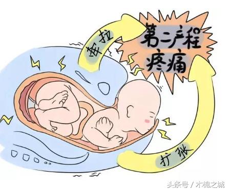 妇产专家告诉你：究竟顺产疼，还是破腹产疼？