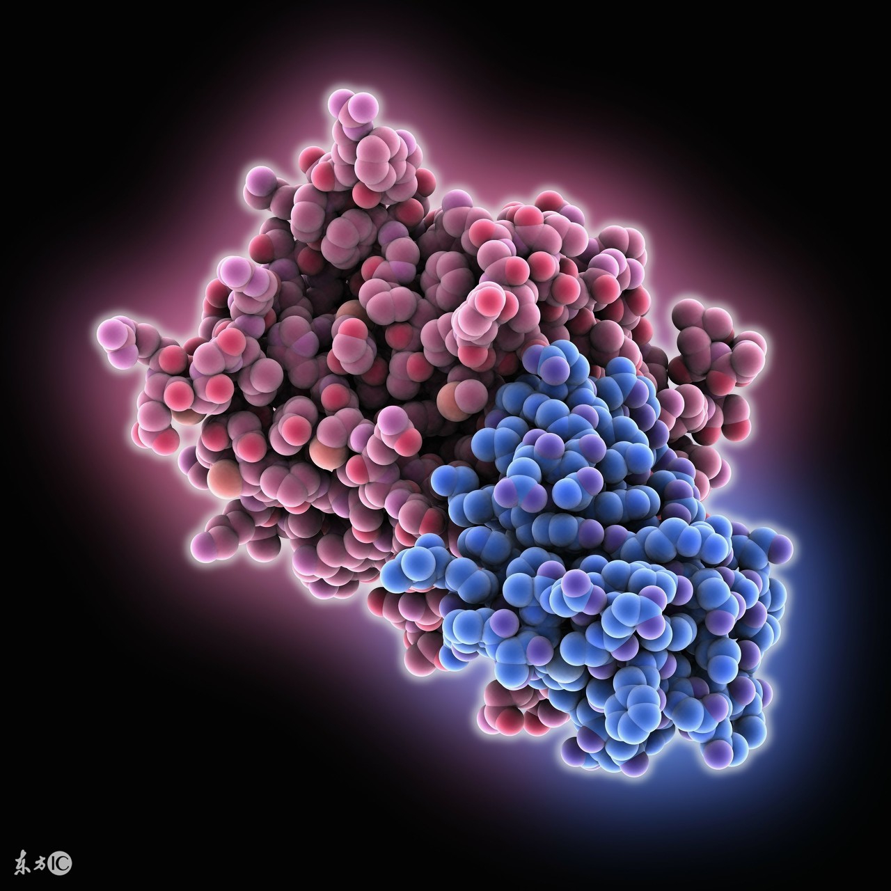 细说同型半胱氨酸,健康科普带你了解同型半胱氨酸