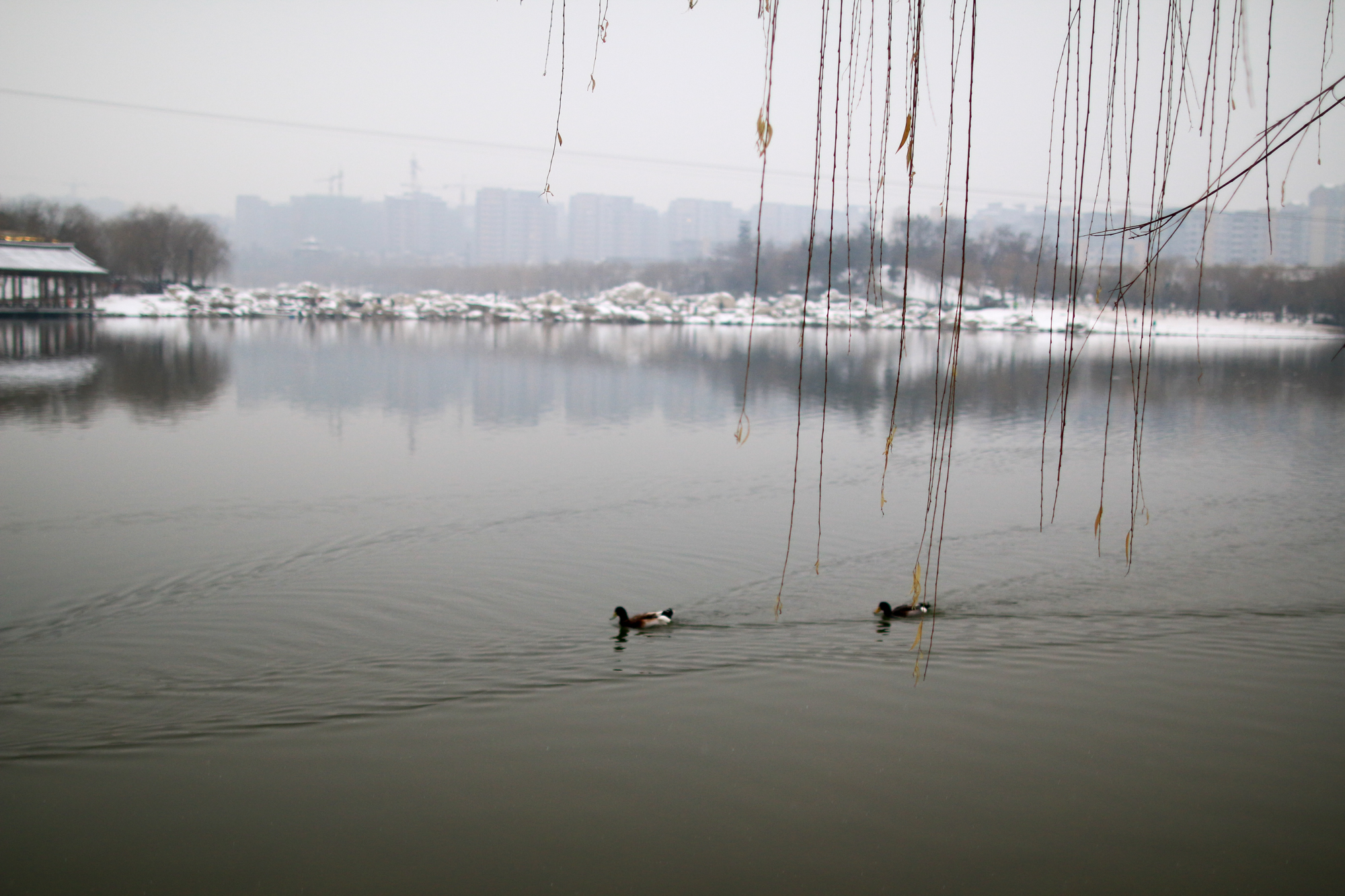 西安曲江池遗址公园值得去吗,西安曲江池遗址公园曲江池