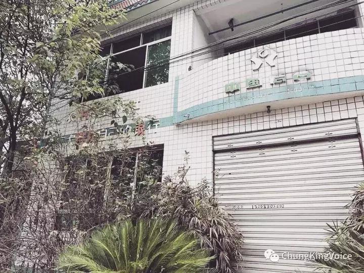 重庆桃花岛和中坝岛,重庆最大中坝岛