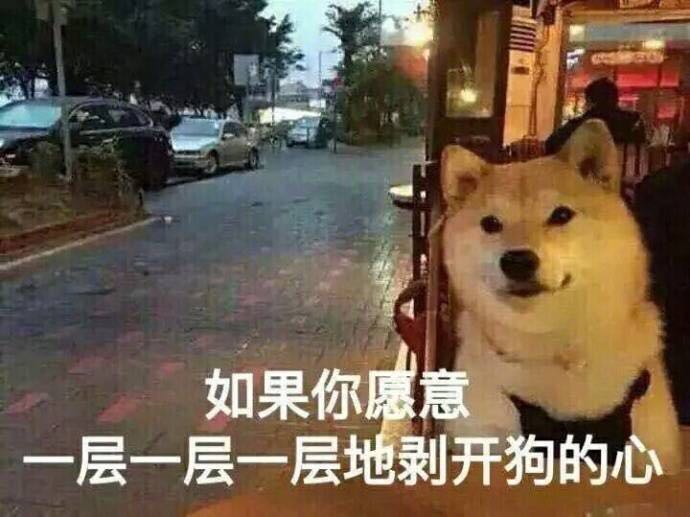 单身狗的正确处理方法,单身狗的终极结局