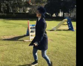 都是月亮惹的祸表达什么意思,都是月亮惹的祸背后分解