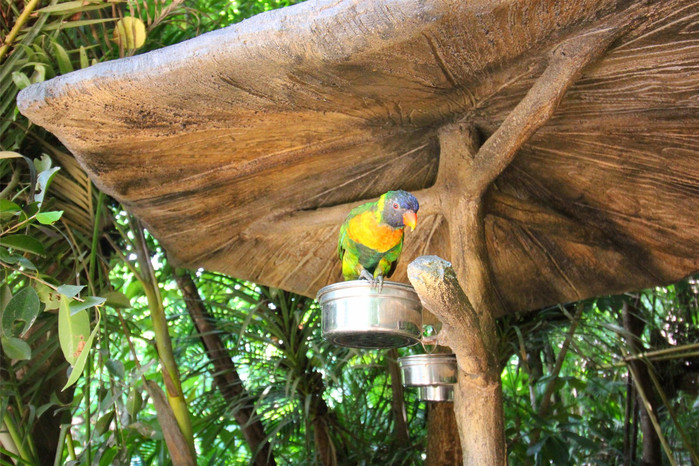 带着寻宝记游遍祖国大好河山,带着挖机去海边度假