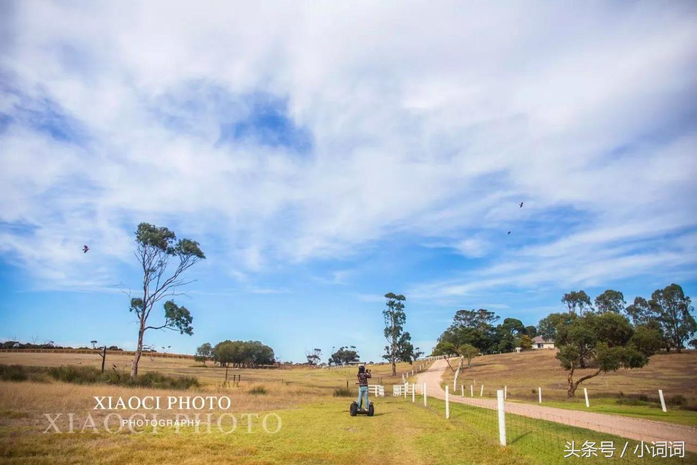 玩转南澳大利亚，这篇最全旅行攻略一定可以帮到你