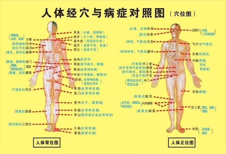 20个对身体有效黄金穴位,人体十大养生穴位
