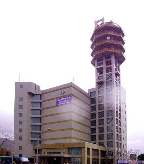 最好的红珊瑚是哪个,世界上最好的红珊瑚图片