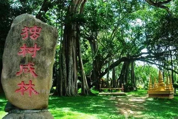 云南最美公路自驾出行攻略,自驾去云南沿途的风景美不胜收