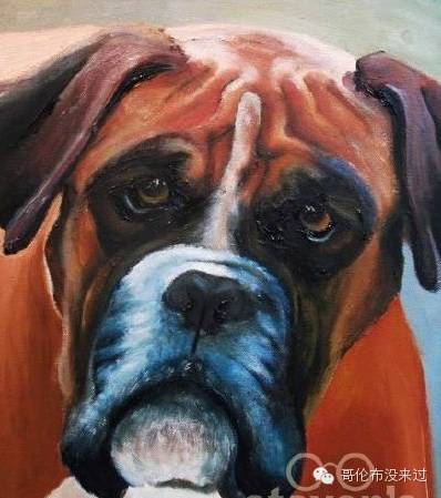 鹿晗是体育全能神，吴彦祖是极限大咖，明星都有哪些新技能