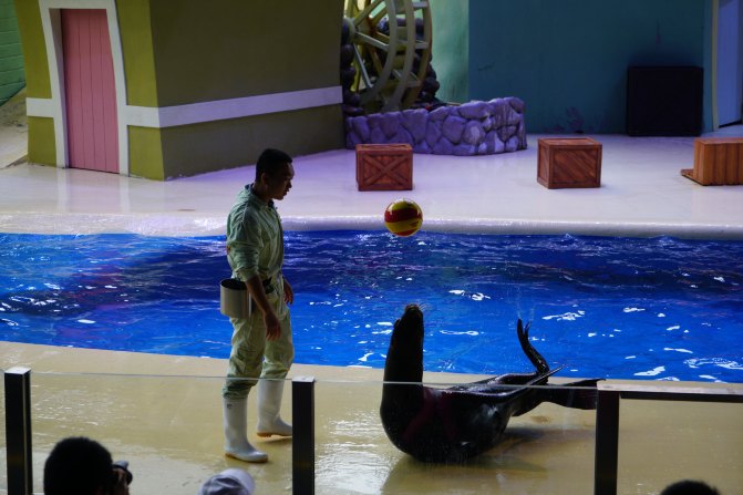 珠海长隆海洋王国2天1夜游玩攻略,最新珠海长隆海洋王国旅游攻略