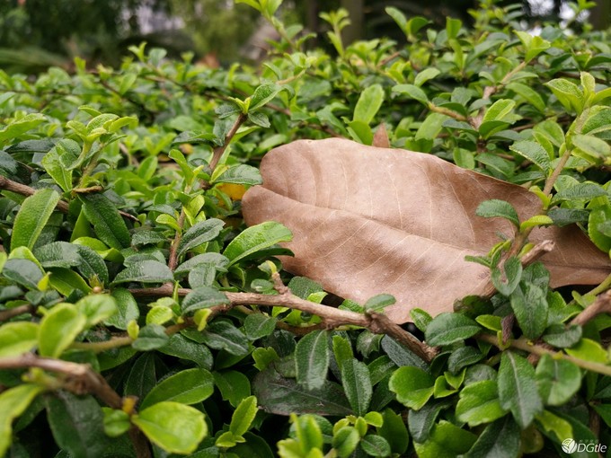 oppor9手机特色亮点,oppor9有那么好吗