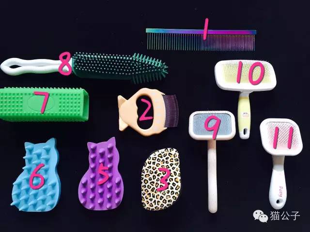 到处都是猫毛|到底什么猫毛梳最好用?