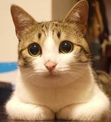 盘点那些良心游戏公司,盘点各大游戏公司