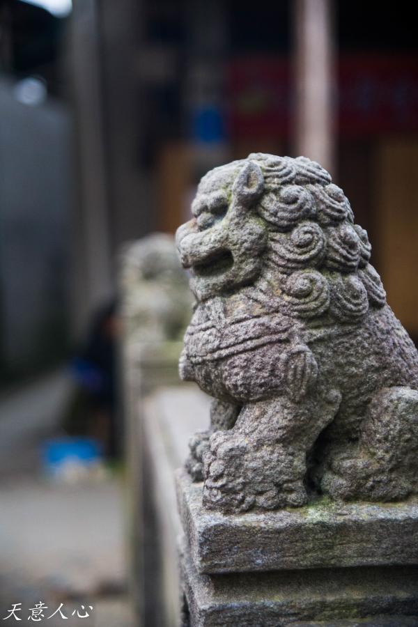 漫游武夷山之自驾游,漫游武夷记