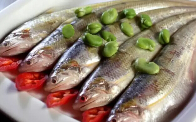 刀鱼价格2022,刀鱼价格