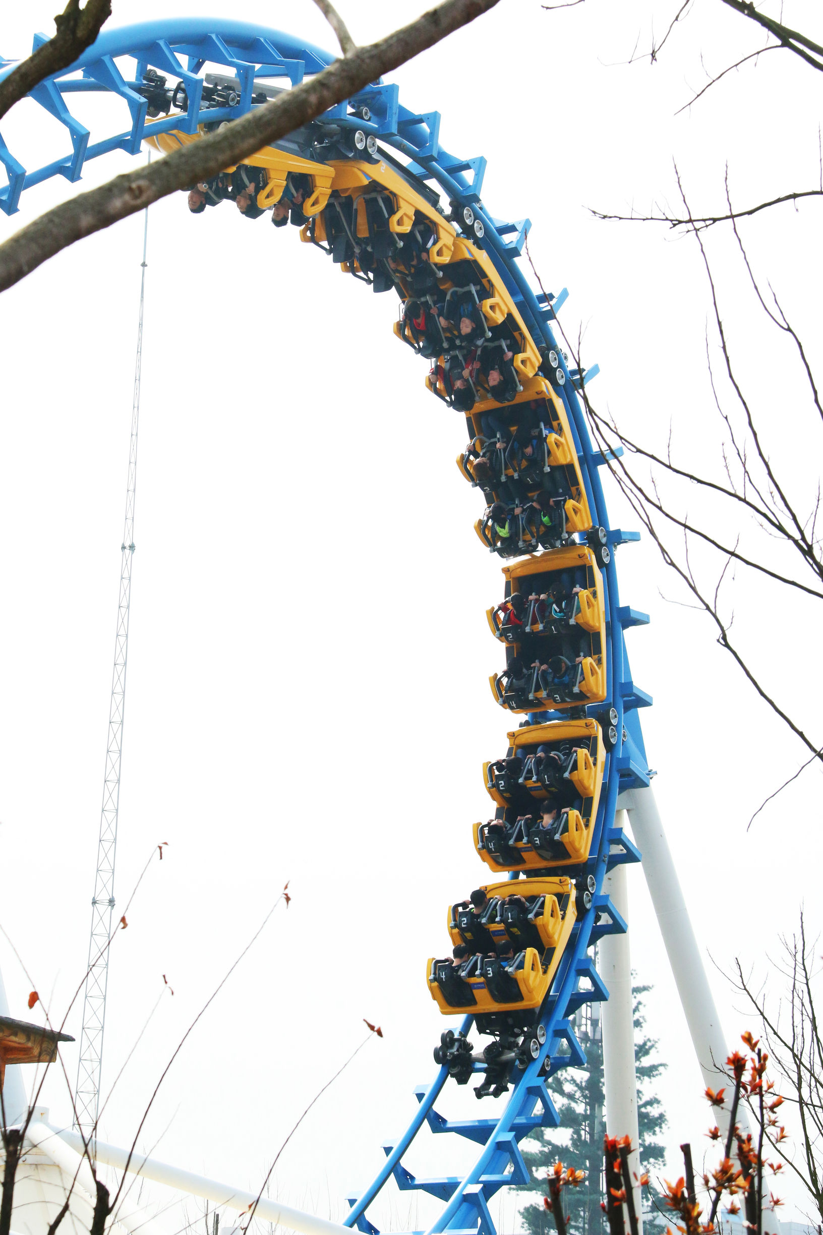 这个假期，方特和你有个约“惠”