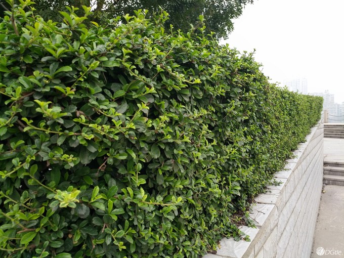 oppor9手机特色亮点,oppor9有那么好吗