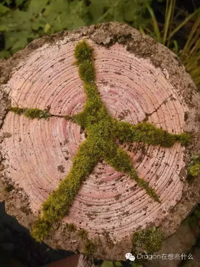 重庆到四川远吗,四川和重庆哪里远