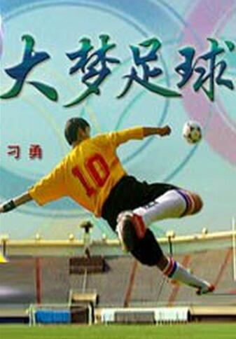 中国影视剧里的足球,中国足球纪录片大全