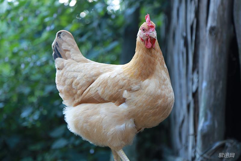 进入摄影坑不久的新人,刚入坑摄影的照片