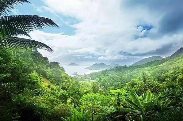 云南最美公路自驾出行攻略,自驾去云南沿途的风景美不胜收