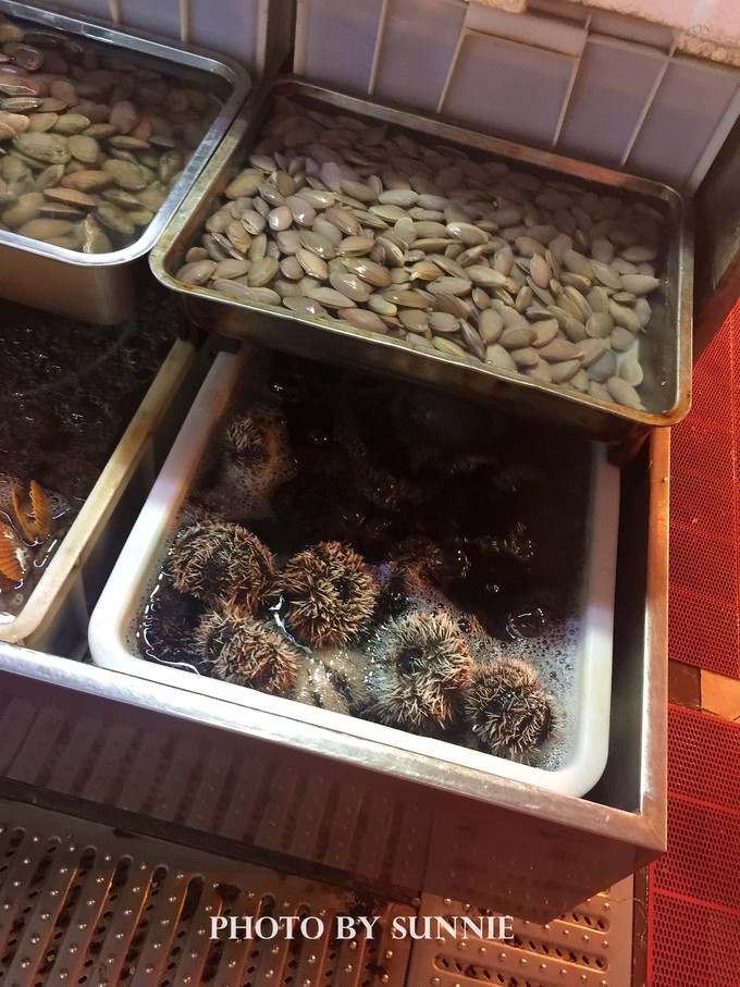 北纬十八度之三亚,北纬18度的旅行三亚游记