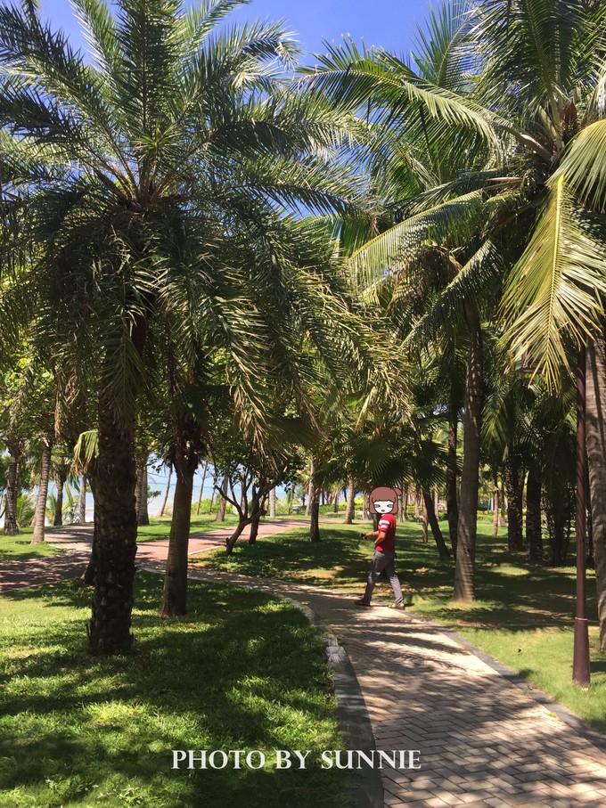 北纬十八度之三亚,北纬18度的旅行三亚游记