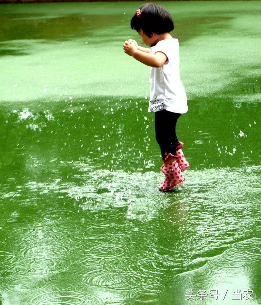 雨中浪漫的邂逅,花海中的浪漫邂逅