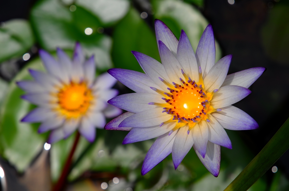 徕卡最新款全画幅报价,徕卡q系列最新款