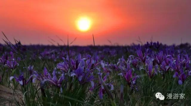 海子面朝大海春暖花开简笔画,海子面朝大海春暖花开画