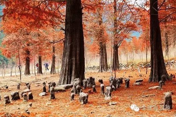 六月份香港迪士尼门票,香港迪士尼三月门票