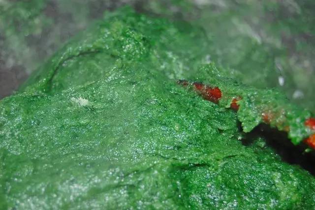 赶在清明之前，为自己做一只青团|一切时节皆与故土食物相关