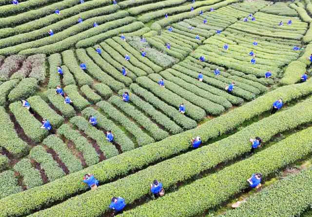 骞胯タ涓夋睙姊敯缇庡コ鍥剧墖,渚楁棌涓夋睙缇庡コ