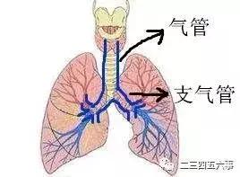 父母长点心,家长都长点心