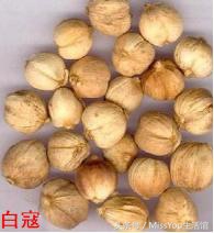 锡纸花甲粉怎么开店,锡纸花甲粉去哪里学