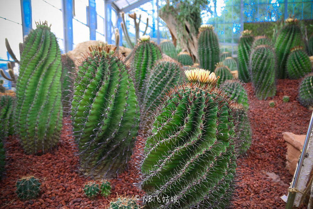 南通滨江公园亲子游,南通洲际绿博园有什么好玩的