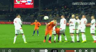 荷兰的郁金香,荷兰郁金香已然凋零