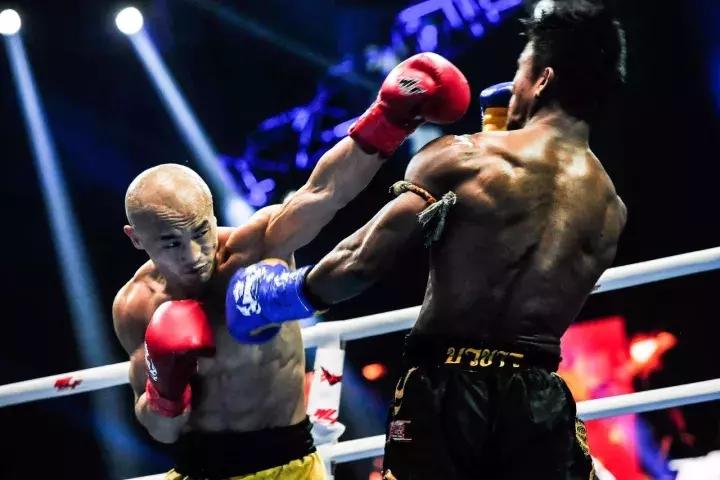 杨茁vs一龙,杨茁对一龙