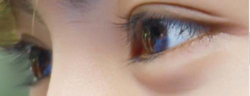 喜欢鹿晗原因,喜欢鹿晗英文