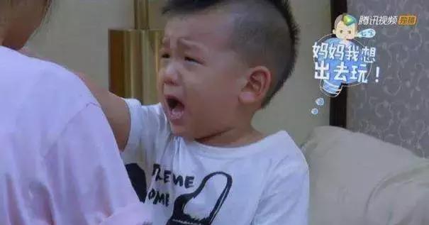 七宝哭何洁完整版,何洁照顾七宝