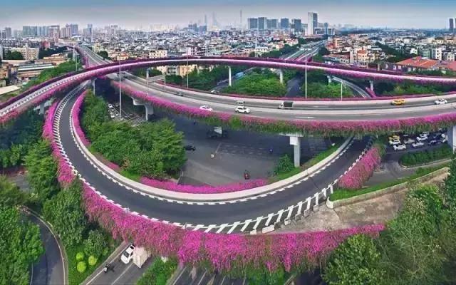 明天起，海珠区的人将身价暴涨！