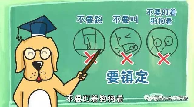 世界狂犬病日漫画,全球狂犬病爆发漫画